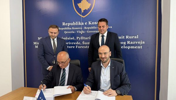 Rreth 200 mijë hektarë pyje kalojnë nën menaxhim shtetëror